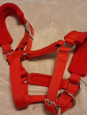 XS Bright Red Padded Nylon Pet Harness